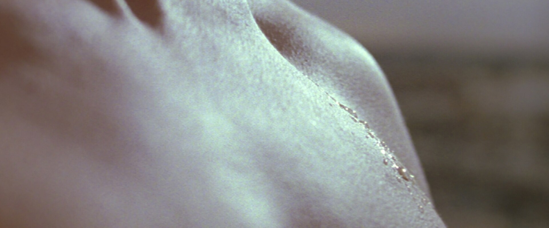 Infusion d’Homme