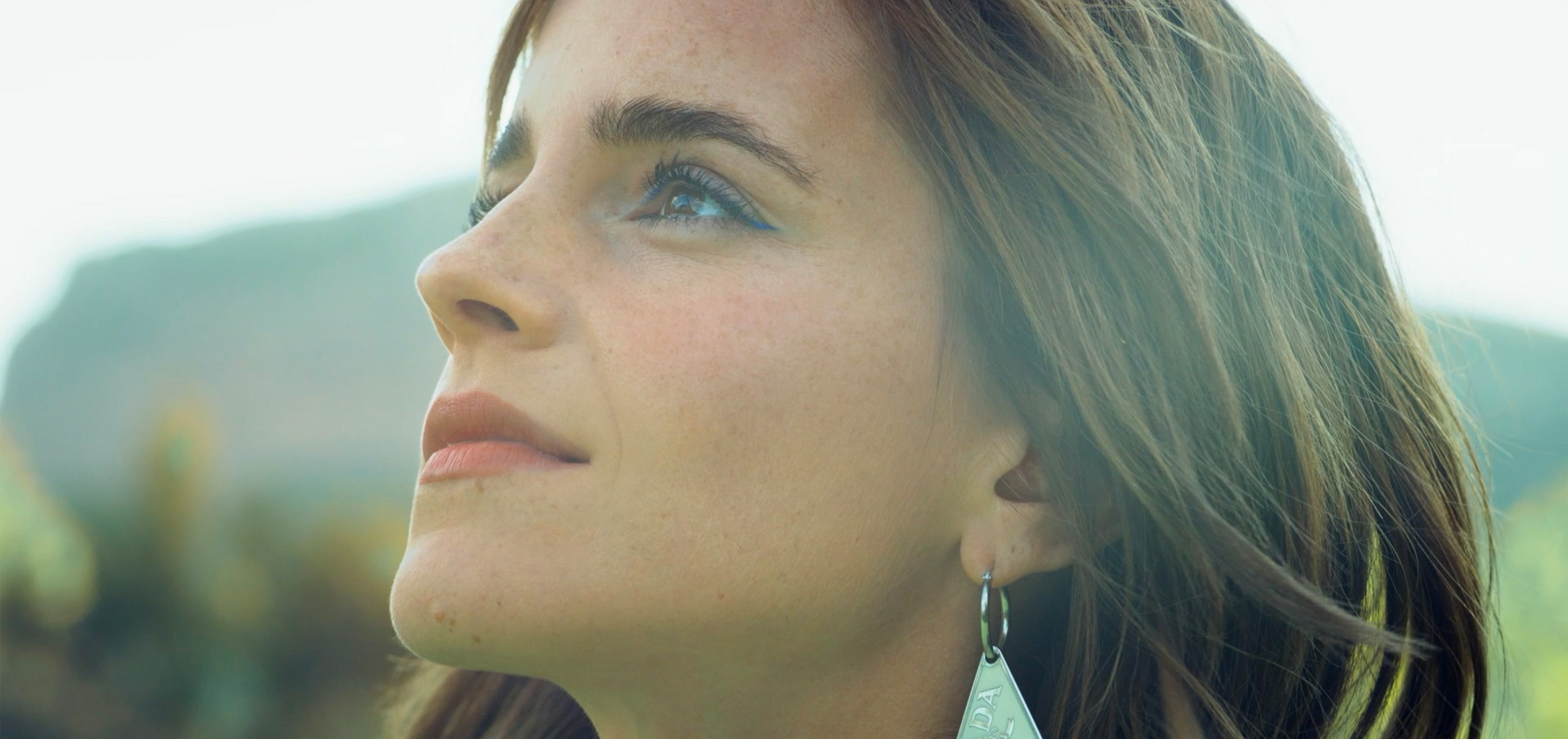 Banner 2