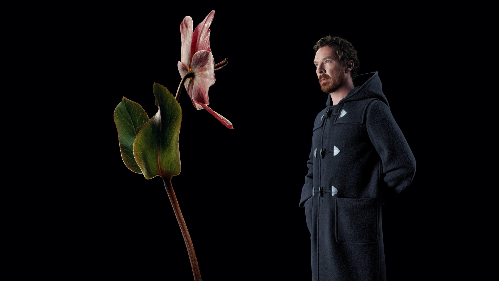 Benedict Cumberbatch
