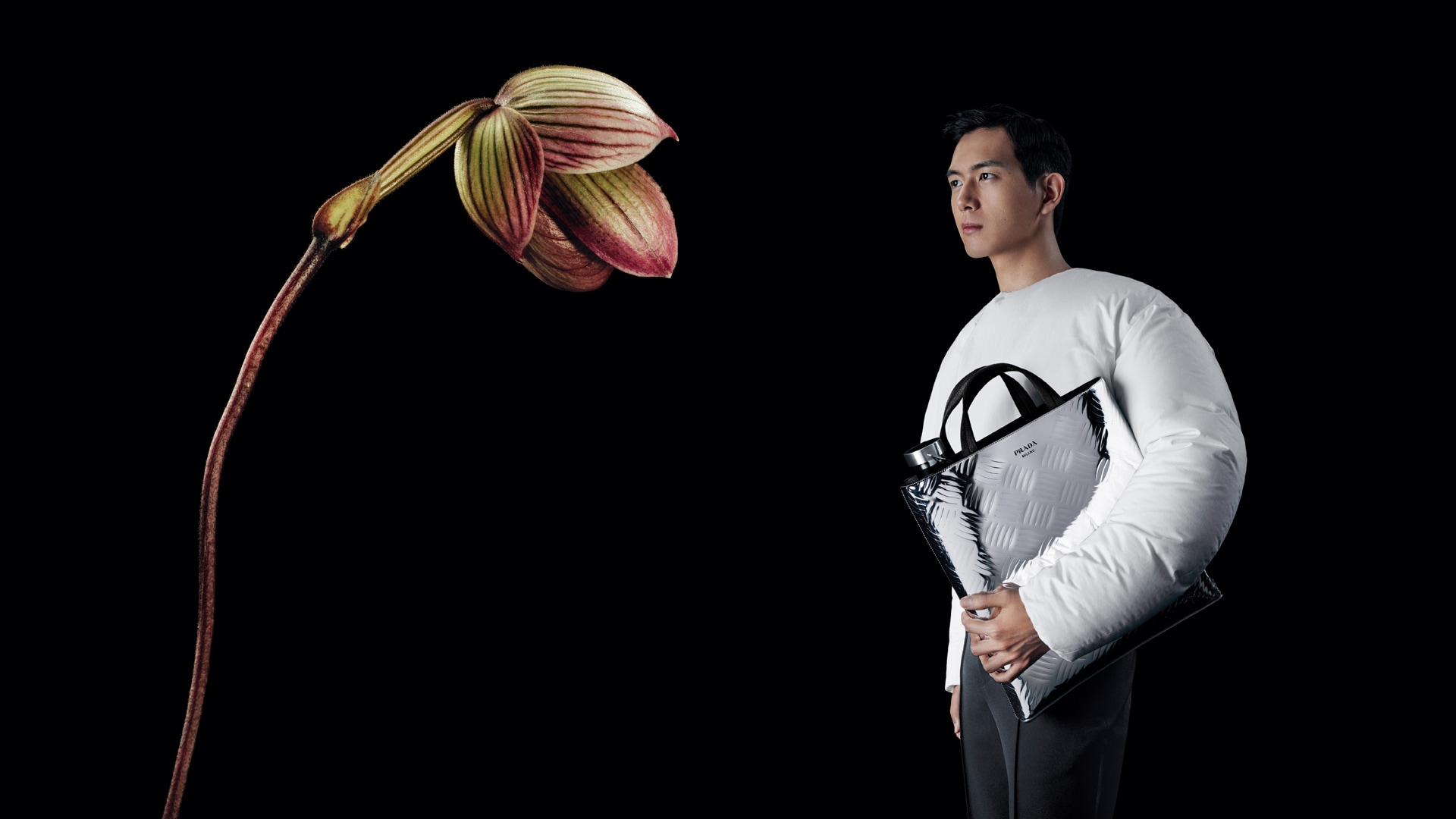 Li Xian