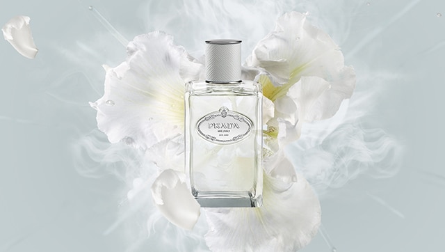 Prada Les Infusions Cedre graphics