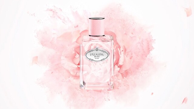Prada Les Infusions Rose graphics