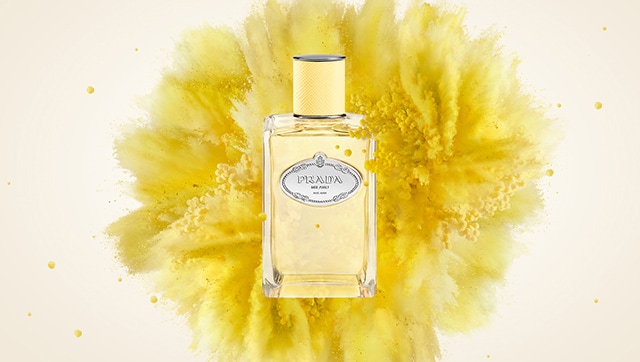 Prada Les Infusions Mimosa graphics