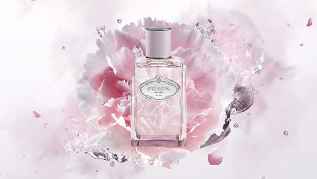 Prada Les Infusions Oeillet graphics