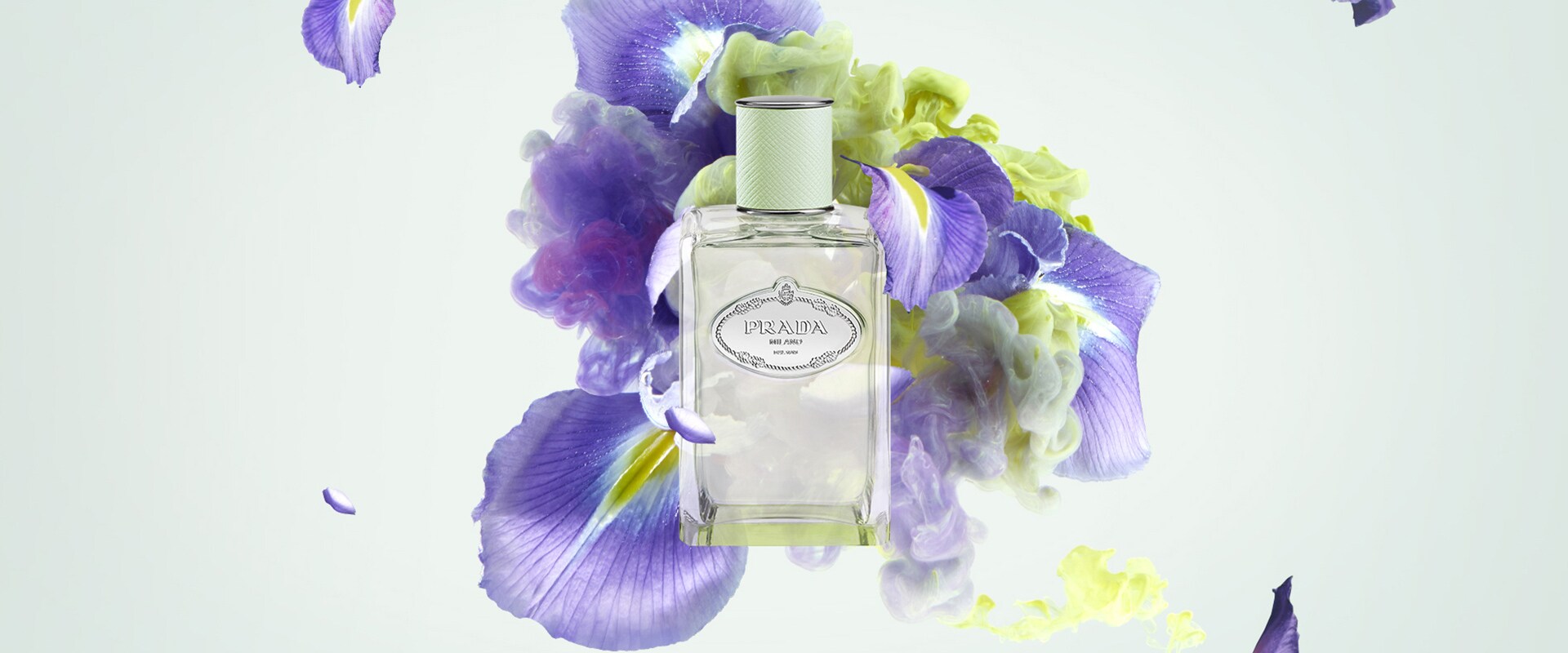 Les Infusions Iris