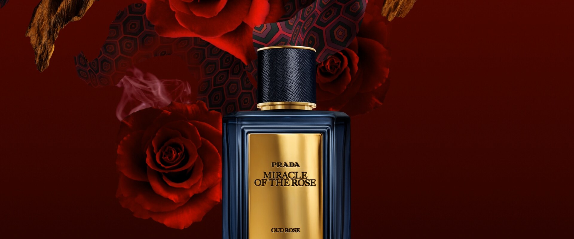 Olfactories Miracle of the Rose