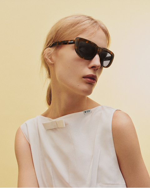Woman Sunglasses Woman Sunglasses