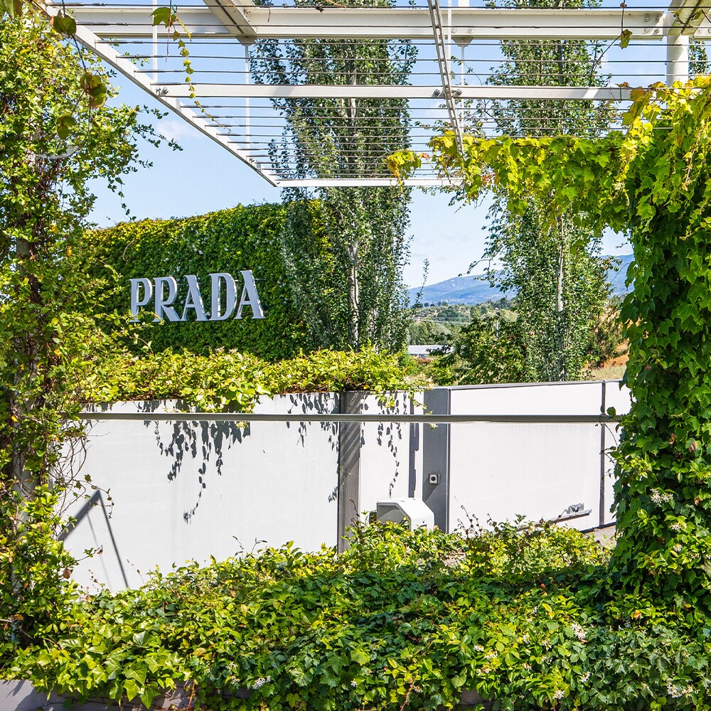 placeholder placeholder