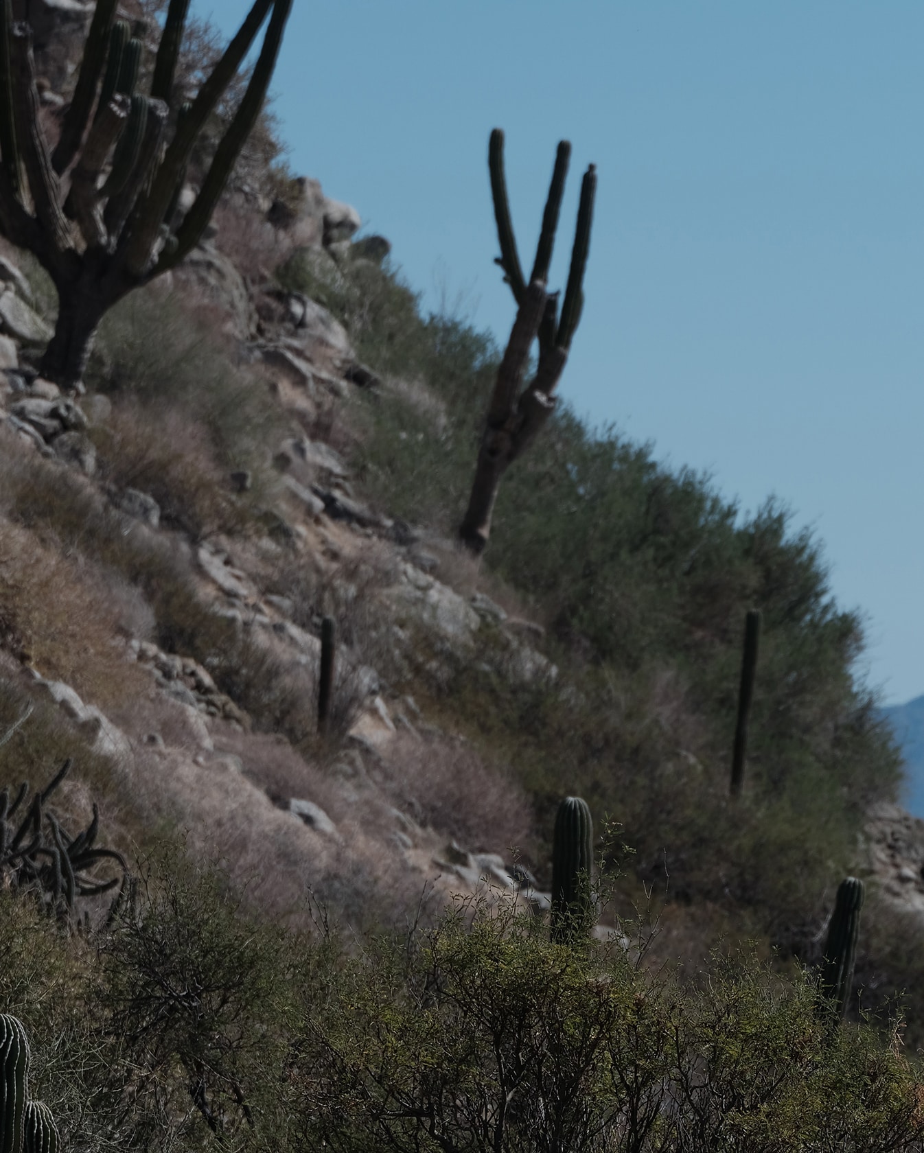 Prada Re-Nylon 04 Prada Re-Nylon 04